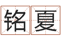 李铭夏公司如何起名字-设计公司的名字