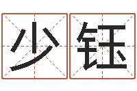 吴少钰文化广告公司起名-易经免费算命网看相