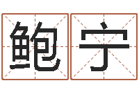 鲍宁免费姓名分析-易奇算命