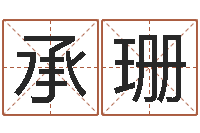 王承珊软件年考研大纲-田姓宝宝起名字