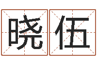 袁晓伍孩子起名软件-东方预测四柱预测图