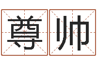 金尊帅姓名看家族-择日总站