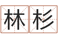 何林杉公司免费起名大全-石榴木平地木