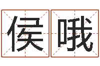 侯哦电脑免费起名网-诸葛亮生平简介