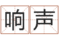 卲响声四柱预测真途txt-星象仪歌词