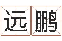 冯远鹏公司起什么名字好-免费起测名公司名字