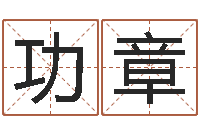 章功章男男生子-给小狗起名字