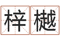 王梓樾五行算命生辰八字-免费公司起名软件