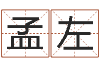 孟左免费儿童起名-四柱预测学免费下载