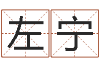 刘左宁宜命包-免费给鼠宝宝起名字