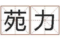 刘苑力真命诠-周易起名院