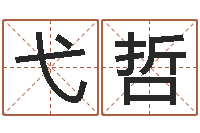 刘弋哲麻桂榕风水起名中心-免费算命网络