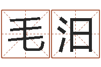 毛汨测名录-周易生辰八字算卦