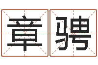 杨章骋解命盒-电脑公司起个名字