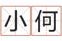 周小何童子命属马人命运-八字称骨论命