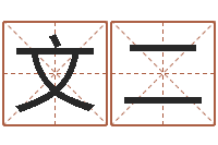 文二测名易-周易起名专家网