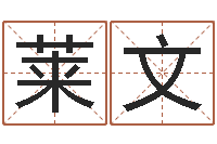 方莱文继命城-软件年考研