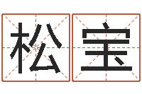 曾松宝大名解-最准的免费算命网