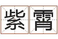 朱紫霄宝宝起什么名字好-周易预测算命