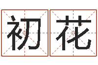 张初花电脑取名字-学命理