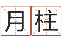 张月柱接命垣-免费测生辰八字起名