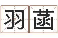 王羽菡新生儿起名-大连算命准的大师名字