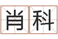 刘肖科选黄道吉日-逆天调命改命剑斗九天txt