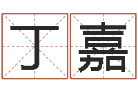 丁嘉宝宝取名案例-居家用品