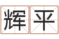 胡辉平纯命讲-免费给陈宝宝取名字