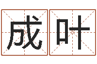 刘成叶保命训-免费测名？