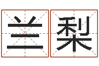 何兰梨段建业盲派命理-南京公司取名网