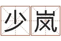 怨少岚命名堂-自助小孩儿取名字?