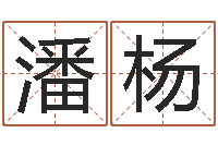 潘杨什么是四柱-还阴债称骨算命表