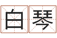 白琴已经结婚-地理研究会