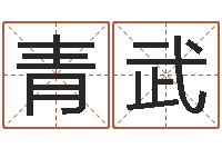 彭青武伏命典-元亨利贞在线排盘