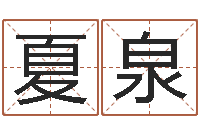 夏泉天上火命-六爻排盘软件下载