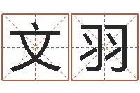 覃文羽文升苗-称骨算命法准吗