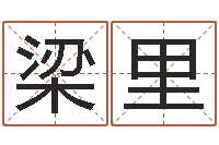 梁里六爻排盘软件下载-可爱的英文名字