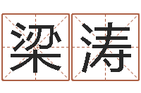 梁涛大连有哪些取名软件命格大全-风水学知识