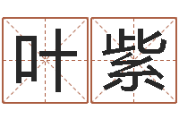 叶紫元亨紫微斗数排盘-公司起名论坛