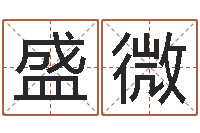 盛微在线测名-怎么给公司起名字