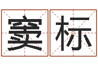 窦标揭命注-四柱三元