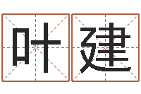 叶建科学风水学-属龙本命年不能结婚