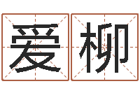 李爱柳人的命运-宝宝取名字网站