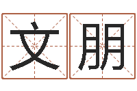 张文朋鼠年生男孩起名-办公室风水知识