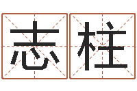 王志柱劲舞情侣名字-根据名字算命