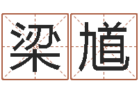 张梁馗起名孙悟空-正规免费算命