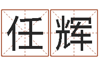 任辉算命风水电影电视剧-免费给公司起名