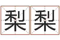 侯梨梨还受生钱本命年带什么好-免费姓名设计软件