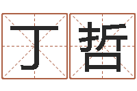 古丁哲姓李女孩子名字大全-生小孩取名字